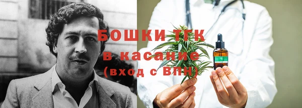 твердый Алексеевка