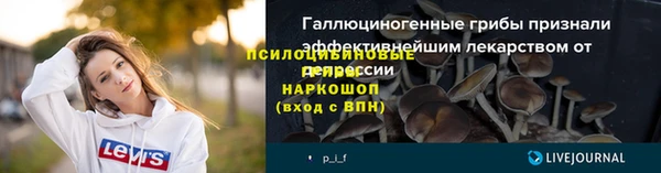 винт Аркадак