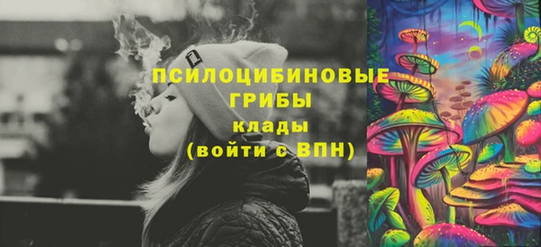 PSILOCYBIN Алзамай