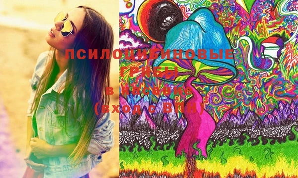 PSILOCYBIN Алзамай