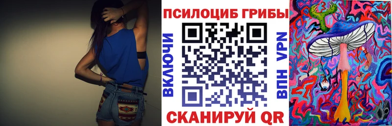 Купить Козьмодемьянск Псилоцибиновые грибы прущие грибы